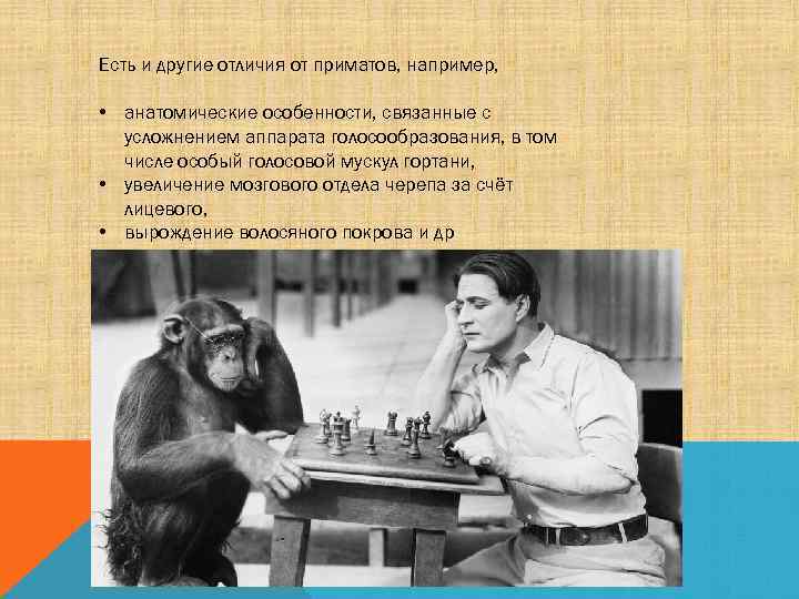 Есть и другие отличия от приматов, например, • анатомические особенности, связанные с усложнением аппарата