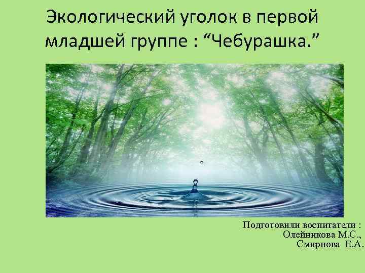 Экологический уголок в первой младшей группе : “Чебурашка. ” Подготовили воспитатели : Олейникова М.