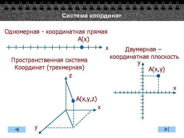 Система координат Одномерная - координатная прямая А(x) х Пространственная система Координат (трехмерная) z Двумерная