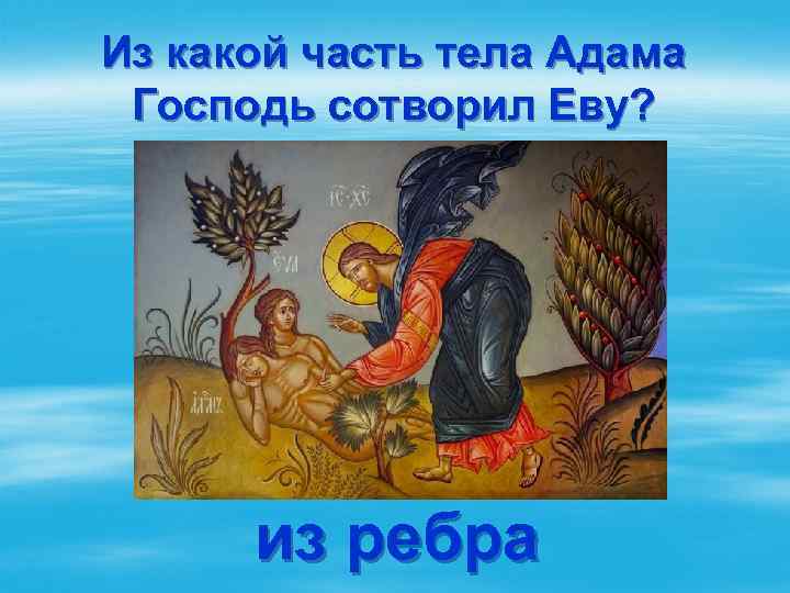 Из какой часть тела Адама Господь сотворил Еву? из ребра 