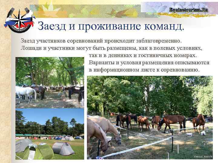 Equinetourism. Ru Заезд и проживание команд. Заезд участников соревнований происходит заблаговременно. Лошади и участники