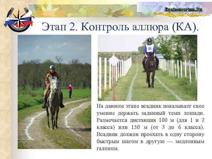Equinetourism. Ru Этап 2. Контроль аллюра (КА). На данном этапе всадник показывает свое умение