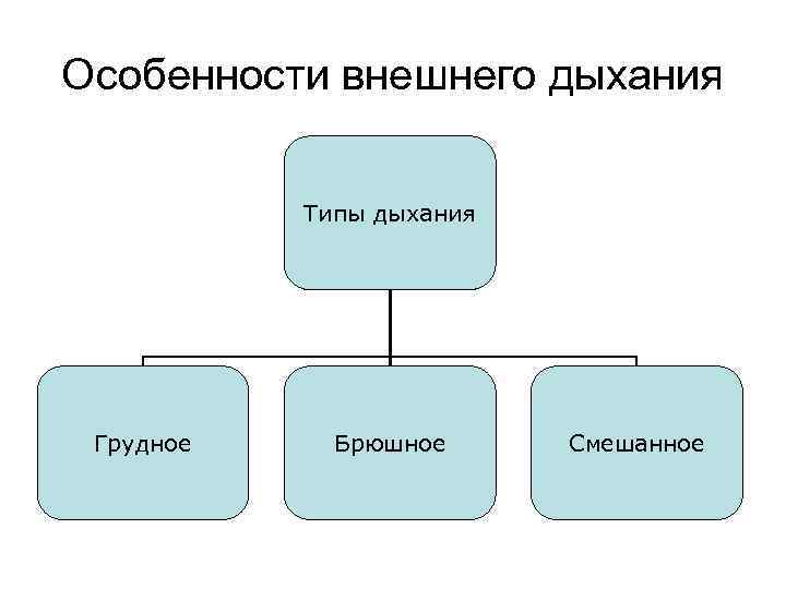 Структура документа. Структура документа схема. Понятие структуры документа. Структура документа в презентации.