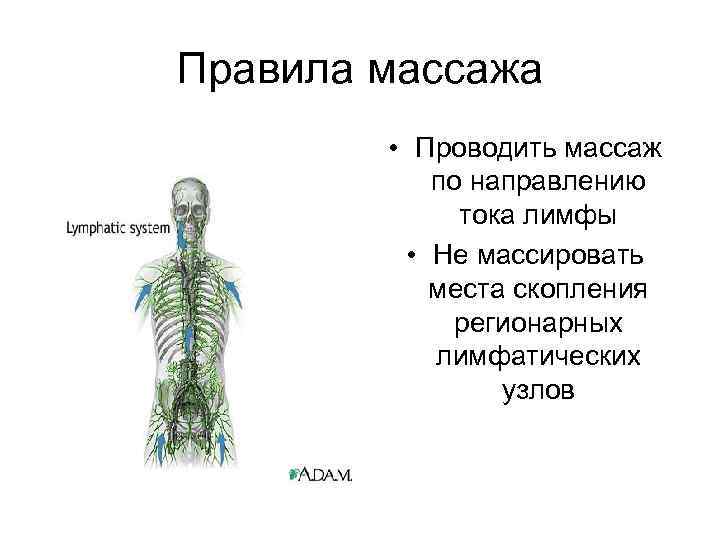 Массаж лимфы тела схема