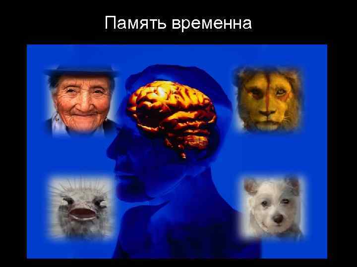 Память временна 