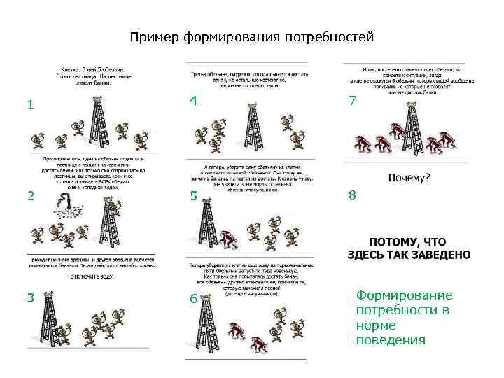 Пример формирования потребностей 1 4 7 2 5 8 3 6 Формирование потребности в