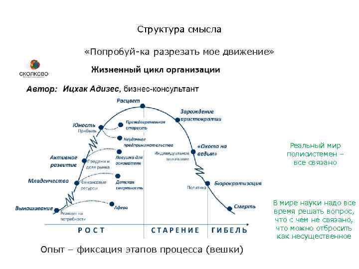 Структура смысла «Попробуй-ка разрезать мое движение» Реальный мир полисистемен – все связано В мире