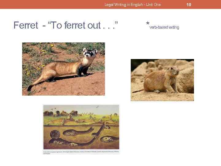 Legal Writing in English - Unit One Ferret - “To ferret out. . .