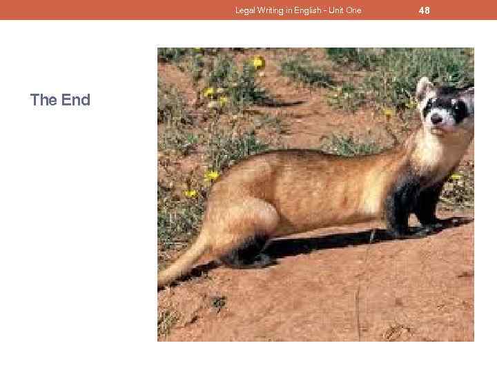 Legal Writing in English - Unit One The End 48 