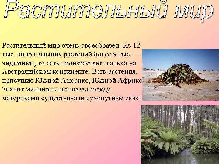 Растительный мир очень своеобразен. Из 12 тыс. видов высших растений более 9 тыс. —