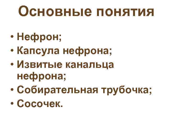 Основные понятия • Нефрон; • Капсула нефрона; • Извитые канальца нефрона; • Собирательная трубочка;