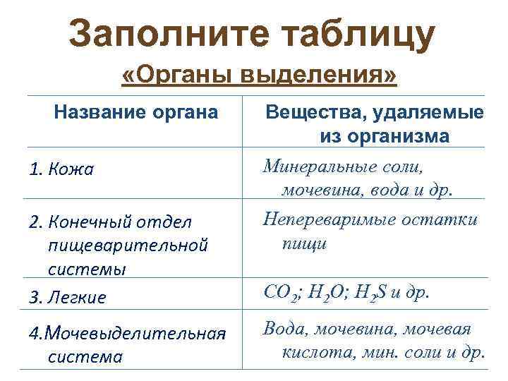 Характеристика органов выделения