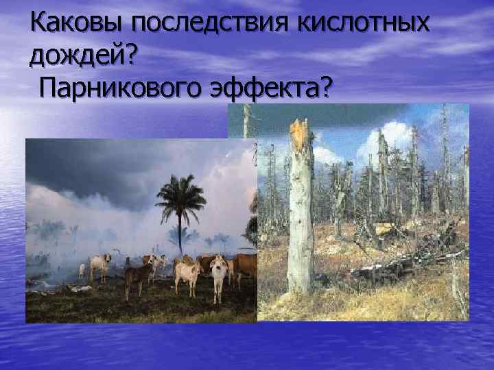 Каковы последствия кислотных дождей? Парникового эффекта? 
