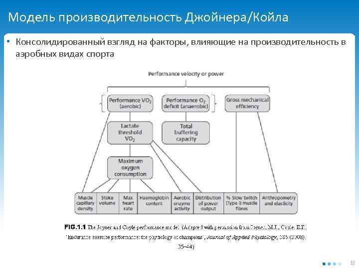 Модель производительность Джойнера/Койла • Консолидированный взгляд на факторы, влияющие на производительность в аэробных видах