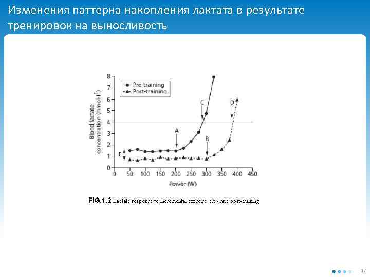 Изменения паттерна накопления лактата в результате тренировок на выносливость 17 