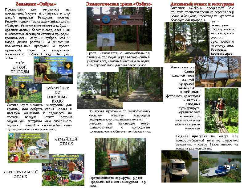 Предлагаем Вам вырваться из повседневной суеты и окунуться в мир дикой природы Беларуси, посетив