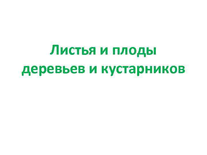 Листья и плоды деревьев и кустарников 