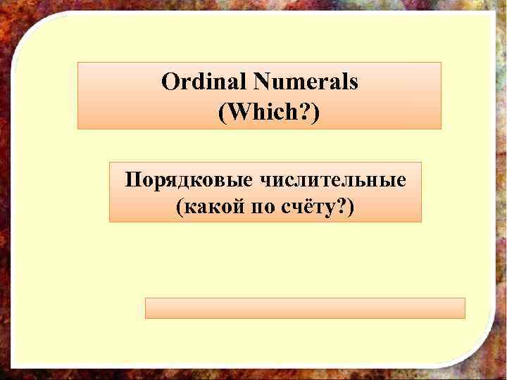 Ordinal Numerals (Which? ) Порядковые числительные (какой по счёту? ) 