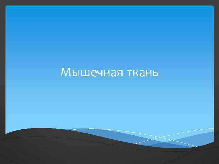 Мышечная ткань 