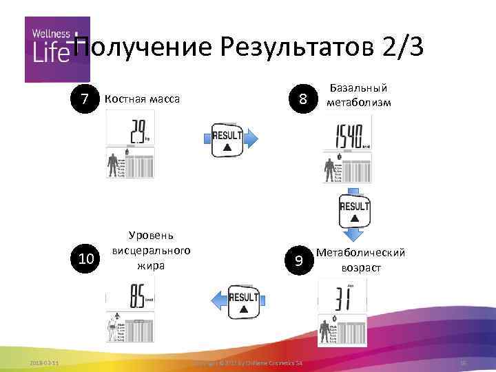 Получение Результатов 2/3 7 10 2018 -02 -11 Костная масса Уровень висцерального жира 8