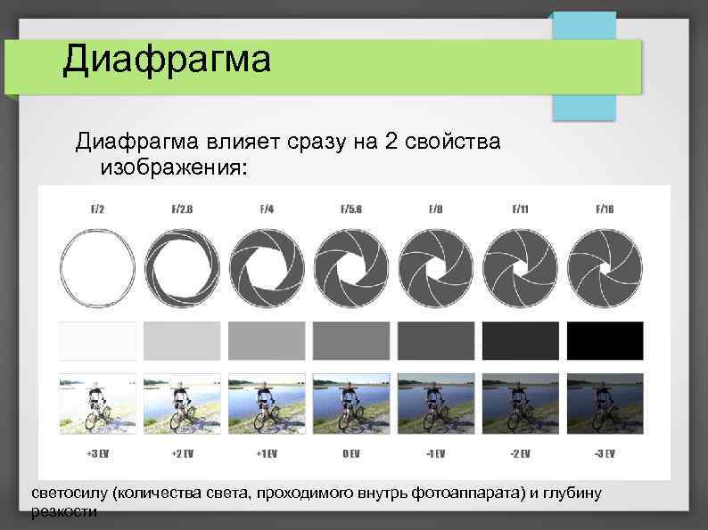 Диафрагма влияет сразу на 2 свойства изображения: светосилу (количества света, проходимого внутрь фотоаппарата) и