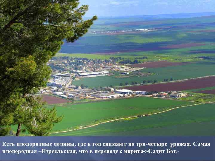 Есть плодородные долины, где в год снимают по три-четыре урожая. Самая плодородная –Изреельская, что