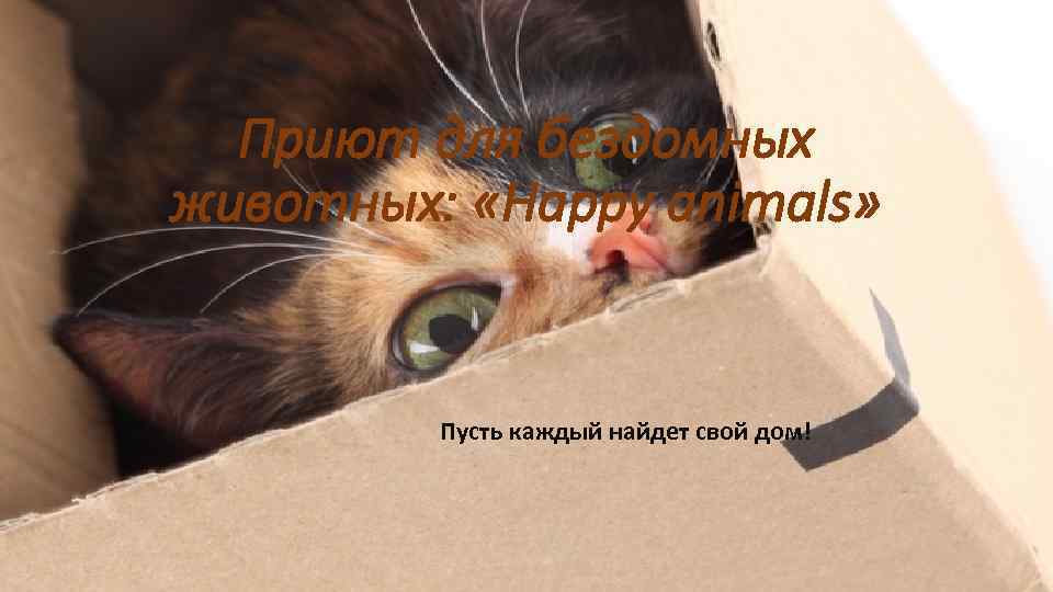 Приют для бездомных животных: «Happy animals» Пусть каждый найдет свой дом! 