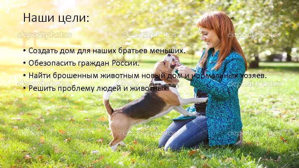 Наши цели: • Создать дом для наших братьев меньших. • Обезопасить граждан России. •