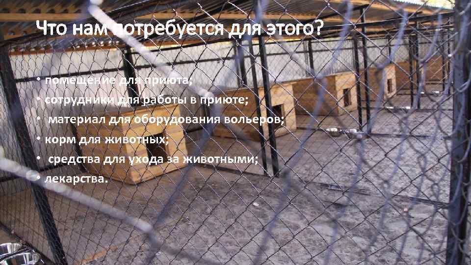 Что нам потребуется для этого? • помещение для приюта; • сотрудники для работы в