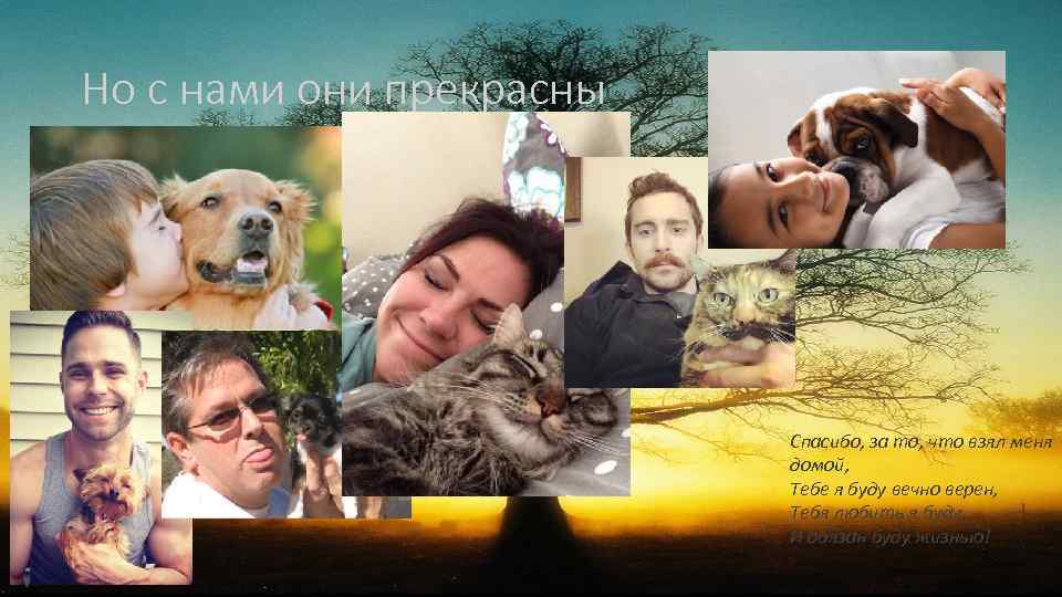 Но с нами они прекрасны Спасибо, за то, что взял меня домой, Тебе я