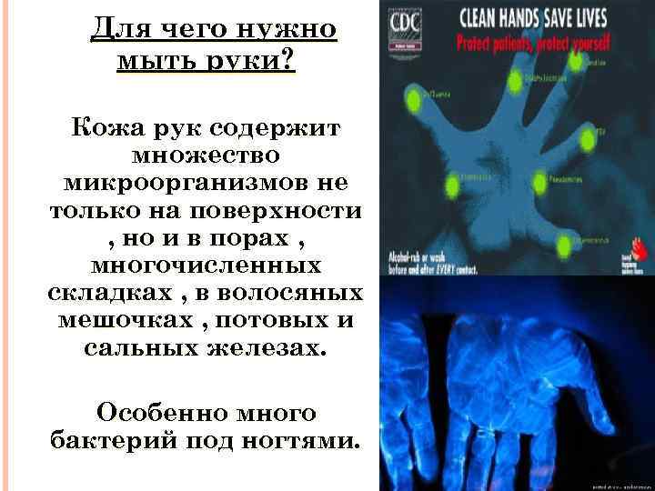 Для чего нужно мыть руки? Кожа рук содержит множество микроорганизмов не только на поверхности