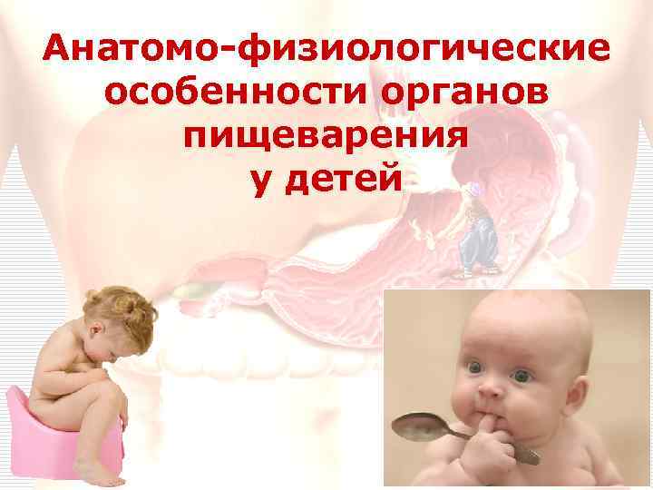Анатомо-физиологические особенности органов пищеварения у детей 