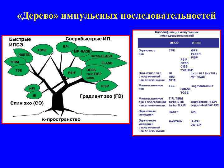  «Дерево» импульсных последовательностей 