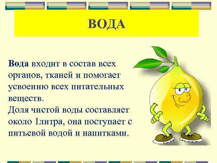 ВОДА Вода входит в состав всех органов, тканей и помогает усвоению всех питательных веществ.