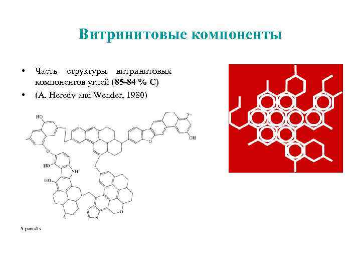 Витринитовые компоненты • • Часть структуры витринитовых компонентов углей (85 -84 % С) (A.