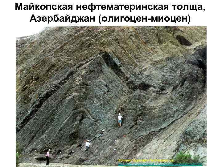 Майкопская нефтематеринская толща, Азербайджан (олигоцен-миоцен) Источник: Exploration Technologies, Inc. http: //www. eti-geochemistry. com/fieldtrip/images/figure 01.