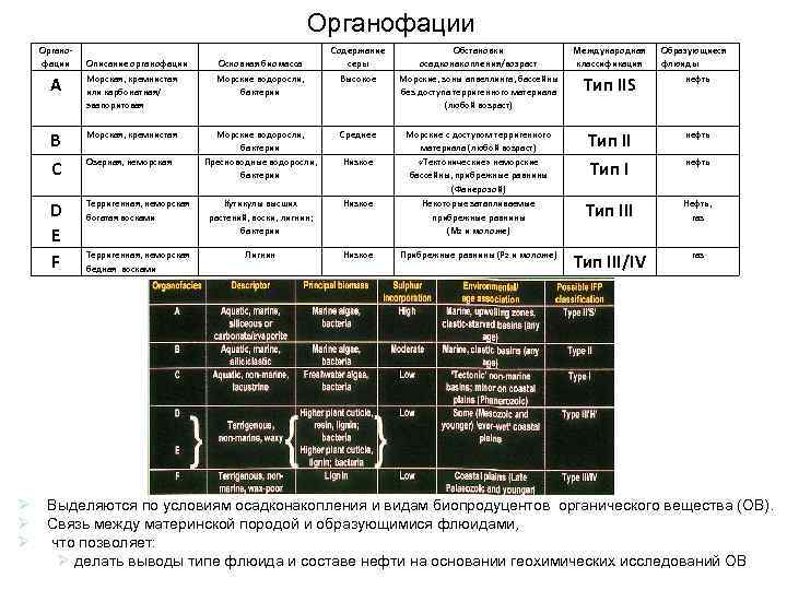 Органофации A Описание органофации Морская, кремнистая или карбонатная/ эвапоритовая Содержание серы Высокое Обстановки осадконакопления/возраст