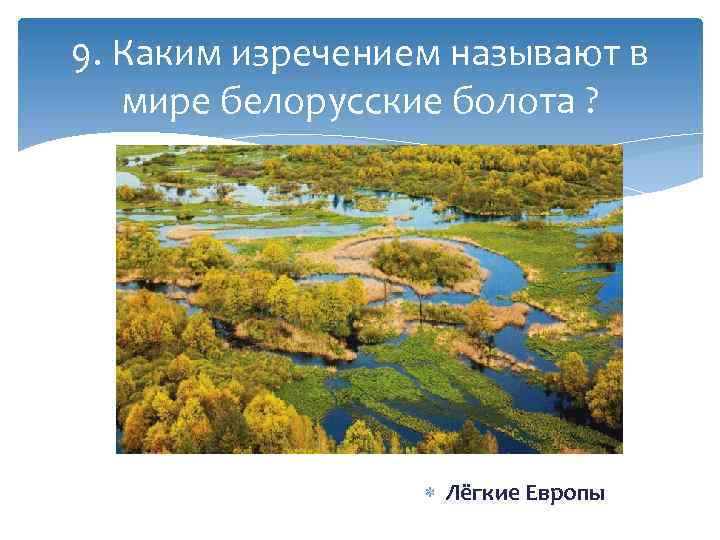 9. Каким изречением называют в мире белорусские болота ? Лёгкие Европы 