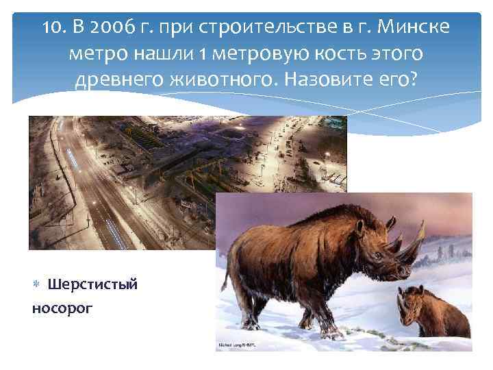 10. В 2006 г. при строительстве в г. Минске метро нашли 1 метровую кость