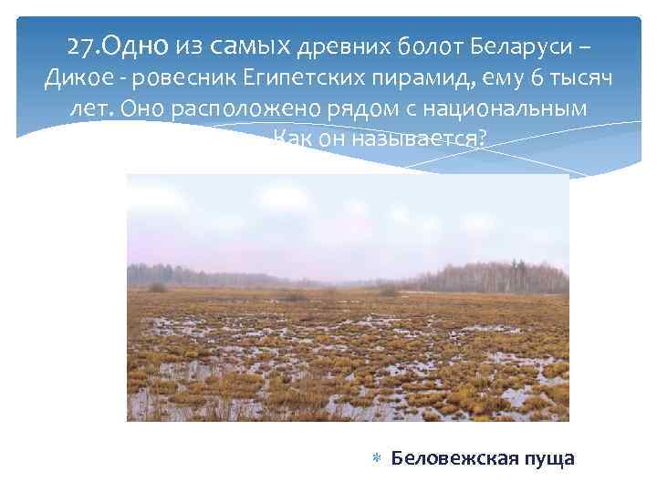 27. Одно из самых древних болот Беларуси – Дикое - ровесник Египетских пирамид, ему