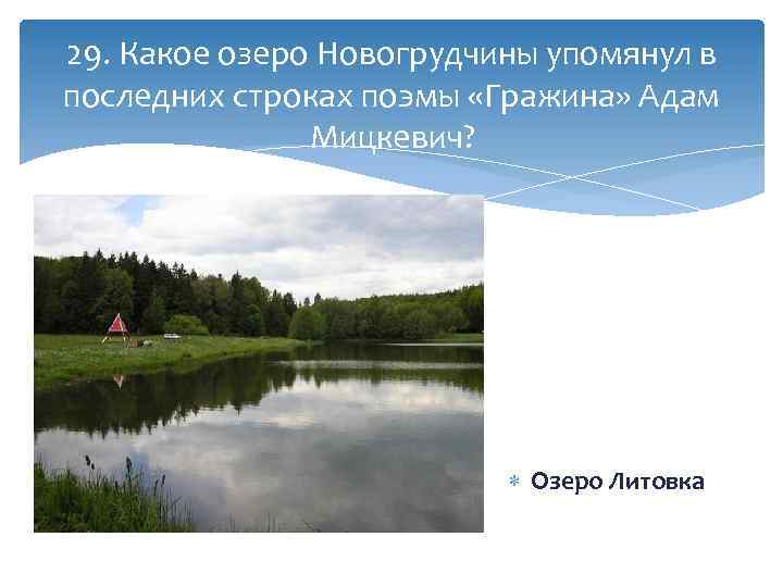 29. Какое озеро Новогрудчины упомянул в последних строках поэмы «Гражина» Адам Мицкевич? Озеро Литовка