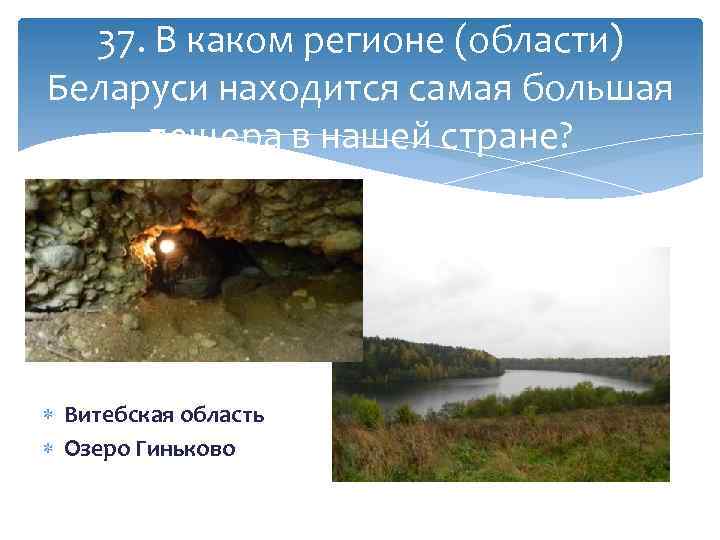 37. В каком регионе (области) Беларуси находится самая большая пещера в нашей стране? Витебская