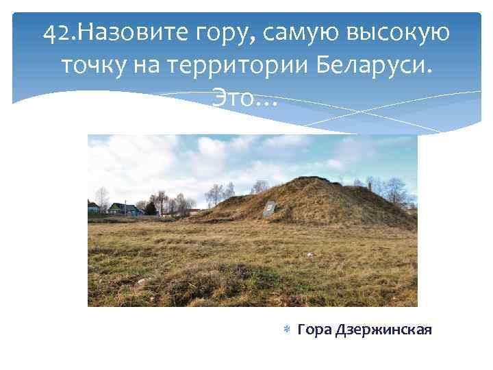 42. Назовите гору, самую высокую точку на территории Беларуси. Это… Гора Дзержинская 