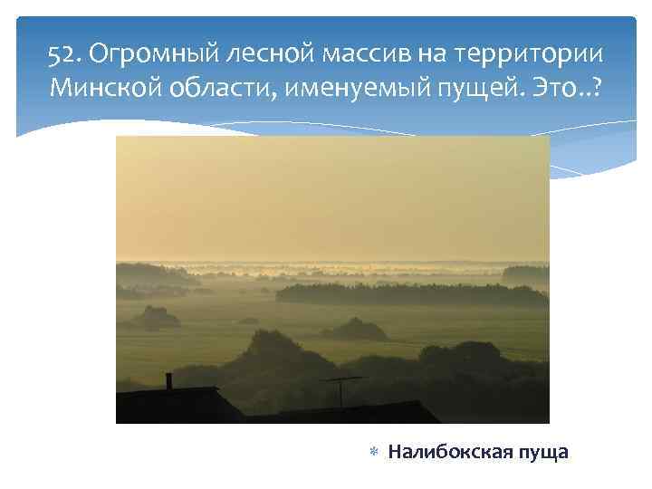 52. Огромный лесной массив на территории Минской области, именуемый пущей. Это. . ? Налибокская