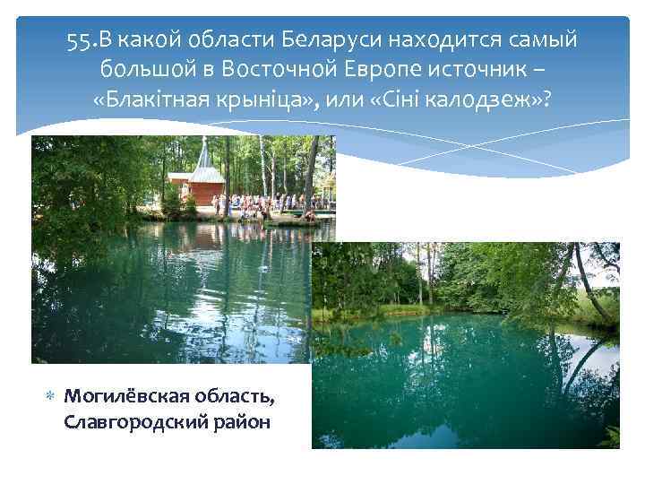 55. В какой области Беларуси находится самый большой в Восточной Европе источник – «Блакітная