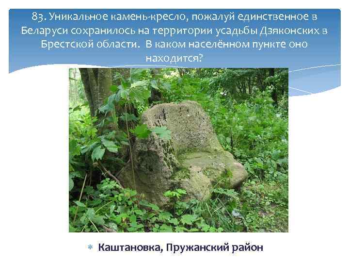 83. Уникальное камень-кресло, пожалуй единственное в Беларуси сохранилось на территории усадьбы Дзяконских в Брестской