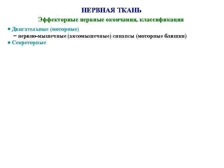 НЕРВНАЯ ТКАНЬ Эффекторные нервные окончания, классификация Двигательные (моторные) нервно-мышечные (аксомышечные) синапсы (моторные бляшки) Секреторные