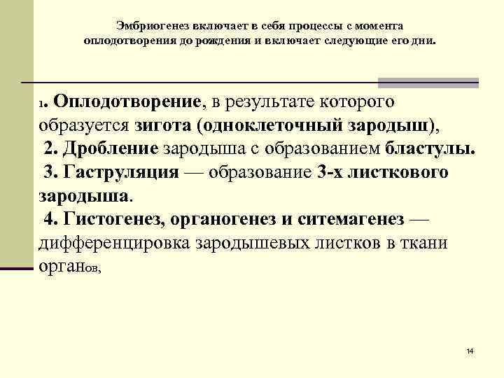 Эмбриогенез включает в себя процессы с момента оплодотворения до рождения и включает следующие его