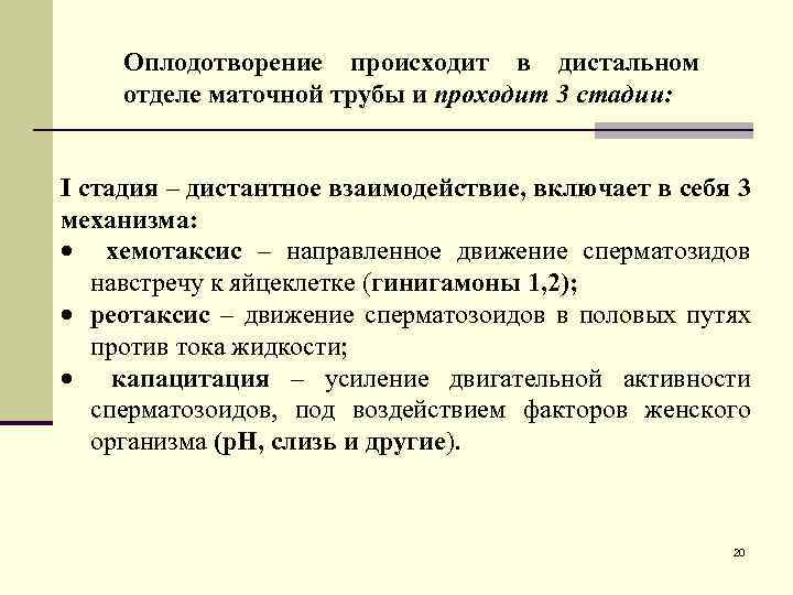 Оплодотворение происходит в. Оплодотворение происходит в отделе маточной трубы. В ампулярном отделе маточной трубы происходит оплодотворение. Оплодотворение происходи в отделе маточной трубы. Хемотаксис реотаксис капацитация.