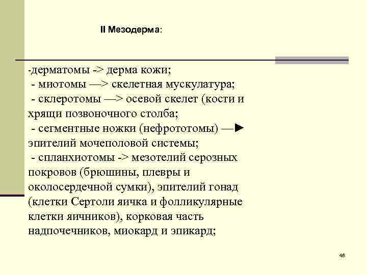 II Мезодерма: -дерматомы -> дерма кожи; - миотомы —> скелетная мускулатура; - склеротомы —>